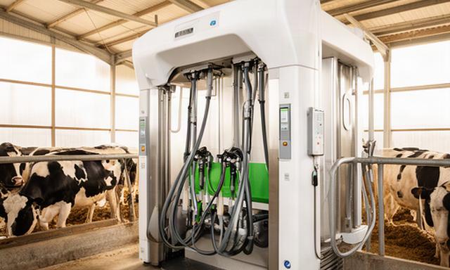 Modern automatisch melksysteem in een lichte melkveestal